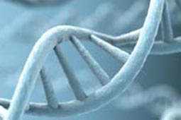 免费呼叫轰炸神器网页版